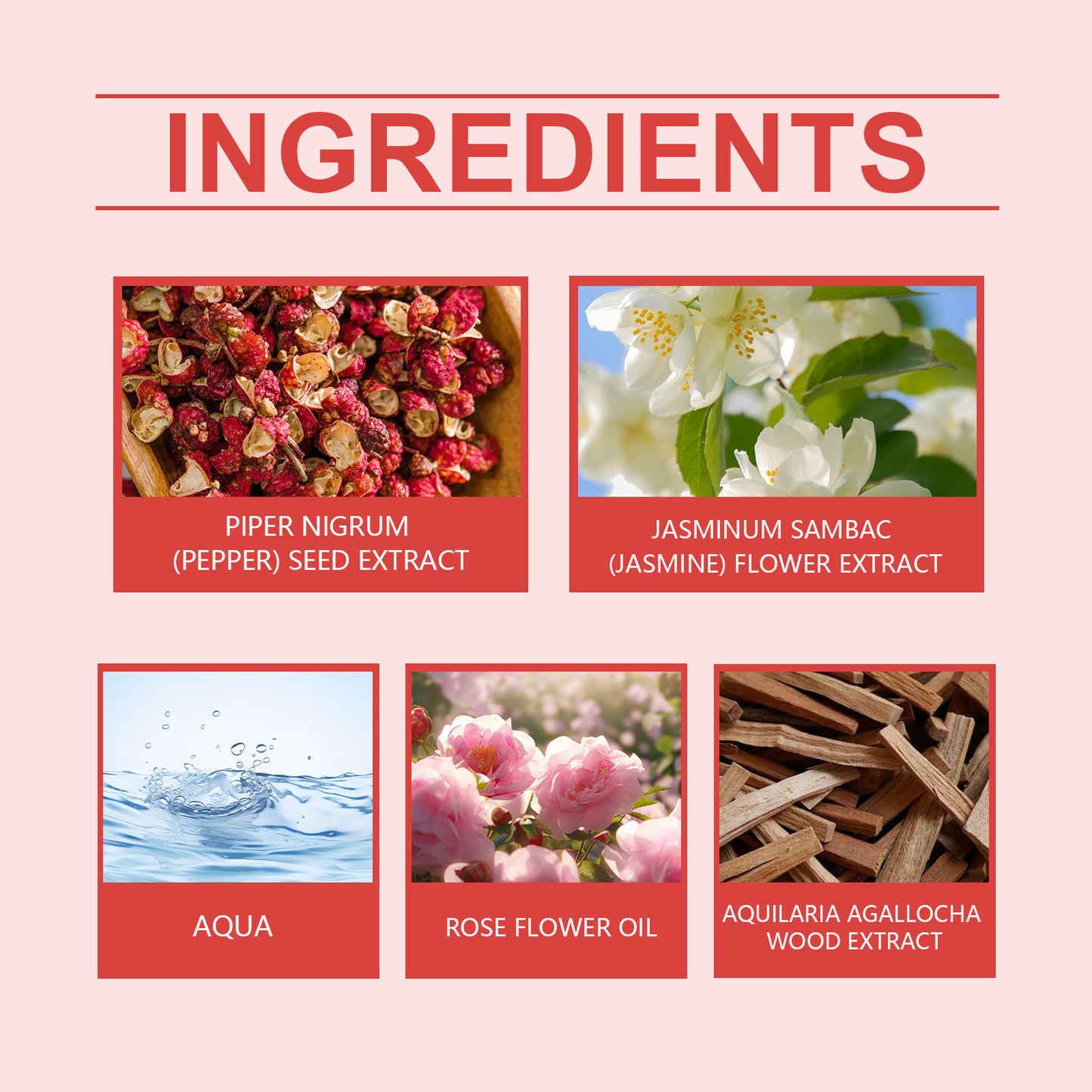 Perfume Spicy Rose Flavor Portable Portable