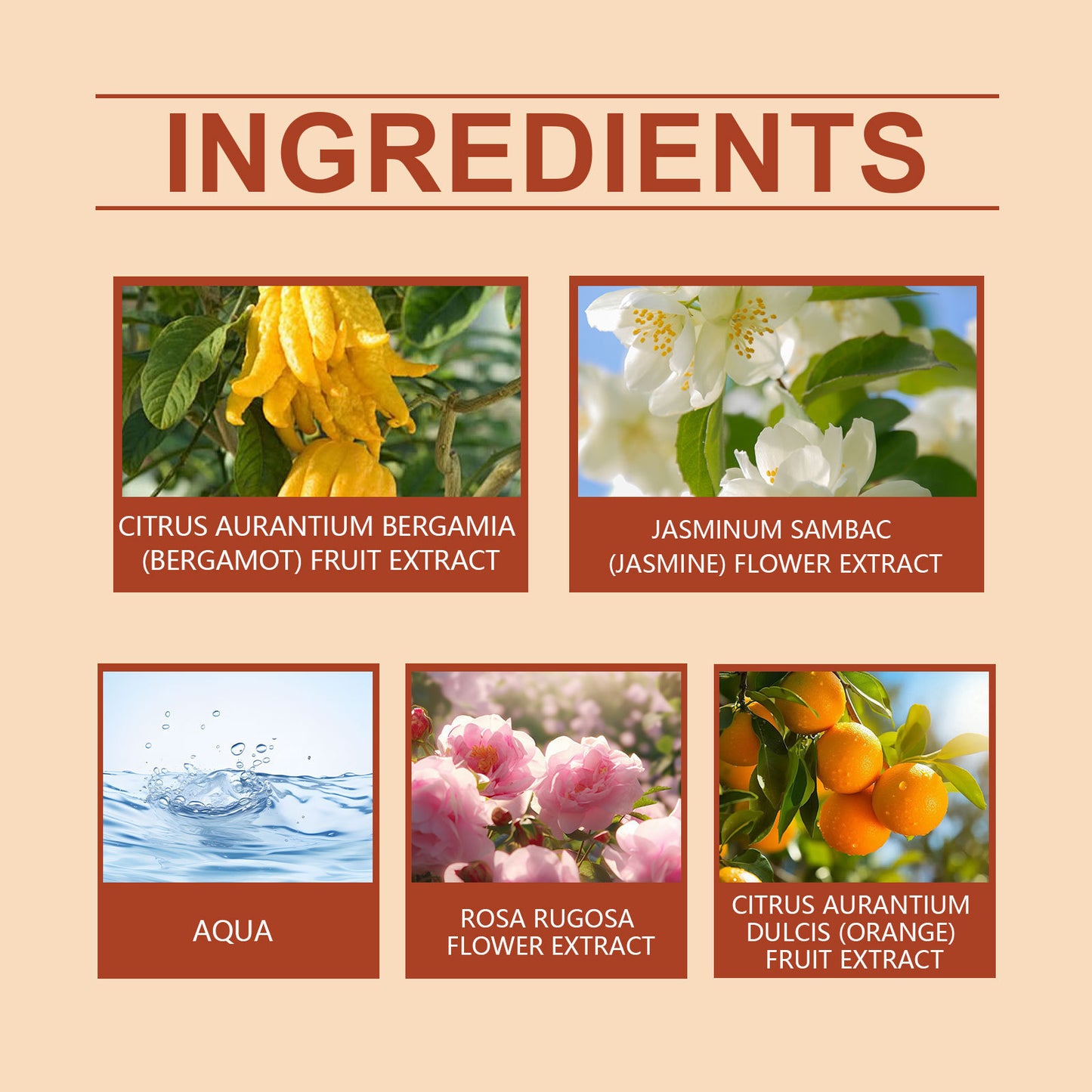 Citrus Flower Perfume Portable Portable Lasting