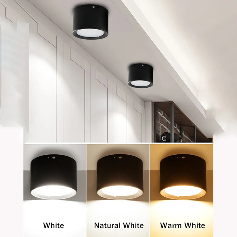 Surface Mounted 5W 7W 9W 12W 15W 18W 20W 24W LED downlight  Ceiling Lamps led spot lights Ceiling Fixtures Lighting Indoor Light