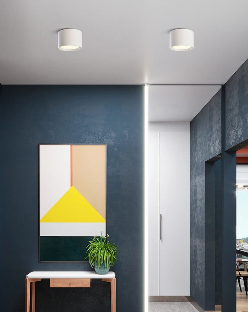 Surface Mounted 5W 7W 9W 12W 15W 18W 20W 24W LED downlight  Ceiling Lamps led spot lights Ceiling Fixtures Lighting Indoor Light