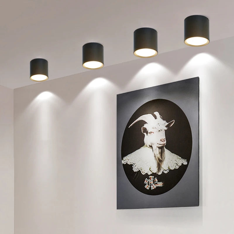 Surface Mounted 5W 7W 9W 12W 15W 18W 20W 24W LED downlight  Ceiling Lamps led spot lights Ceiling Fixtures Lighting Indoor Light