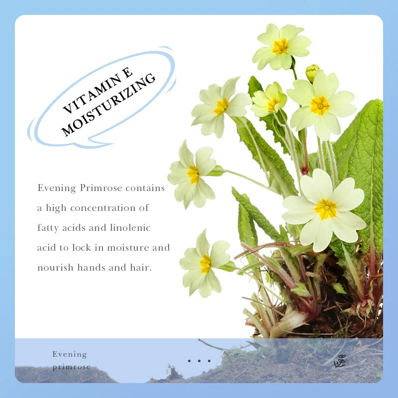 Collagen Anti-wrinkle Hand Cream Anti-drying Cracked Whitening Moisturizer Fade Fine Line Soft Smooth Repair Hand Foot Skin Care