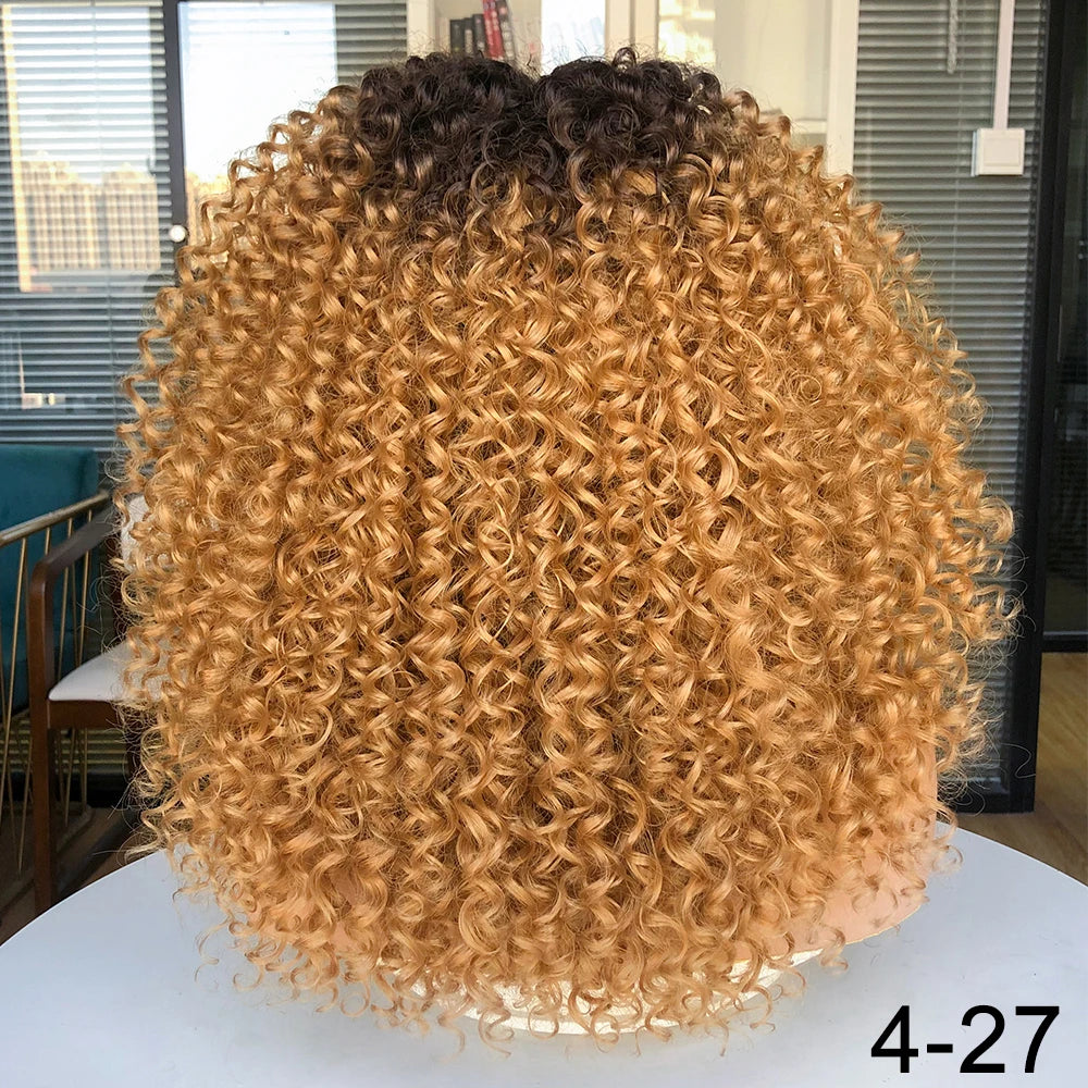 Short Bob Wig Lace Front Wigs for Women Afro Kinky Curly Wigs Ombre Brown Synthetic Middle Nature Hair Black Headgear with Clips
