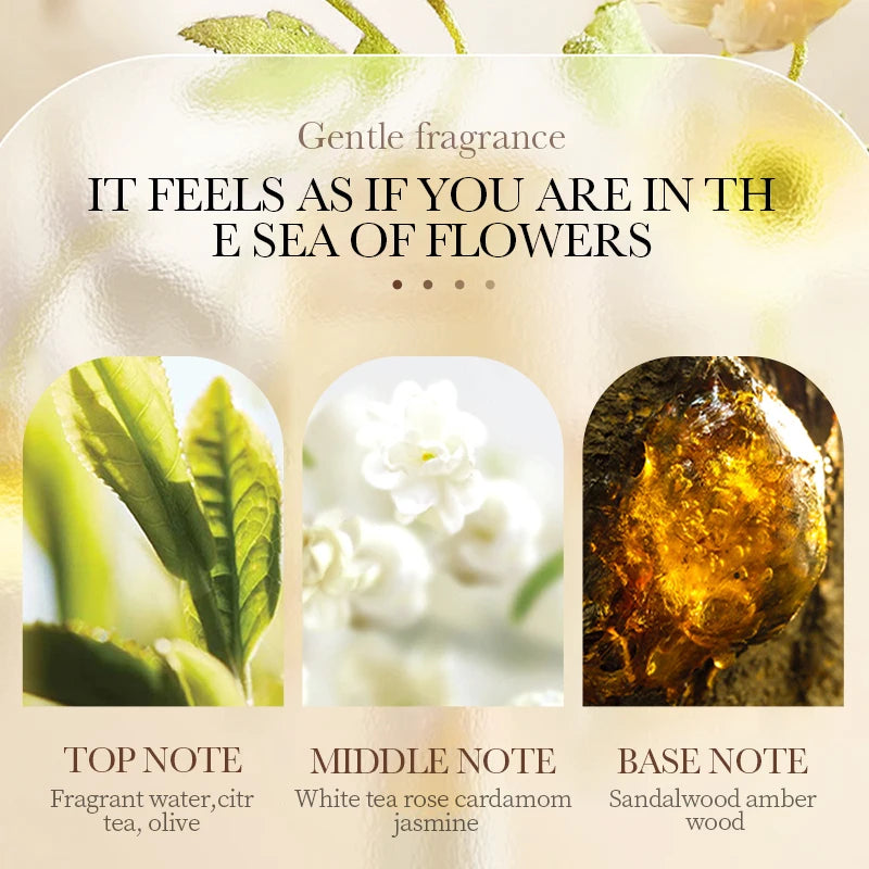 Collagen Anti-wrinkle Hand Cream Anti-drying Cracked Whitening Moisturizer Fade Fine Line Soft Smooth Repair Hand Foot Skin Care